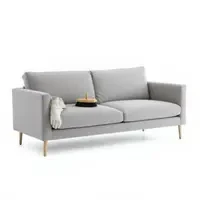 Premium sofa deep cleaning and shampooing service showing a modern light grey sofa