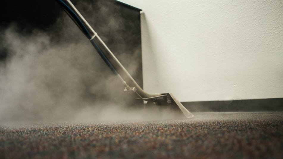 Reasons to Hire Professional Carpet Cleaning Services in Delhi